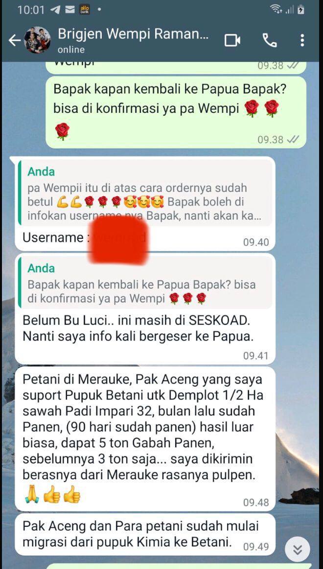 Panen Tomat Sayur