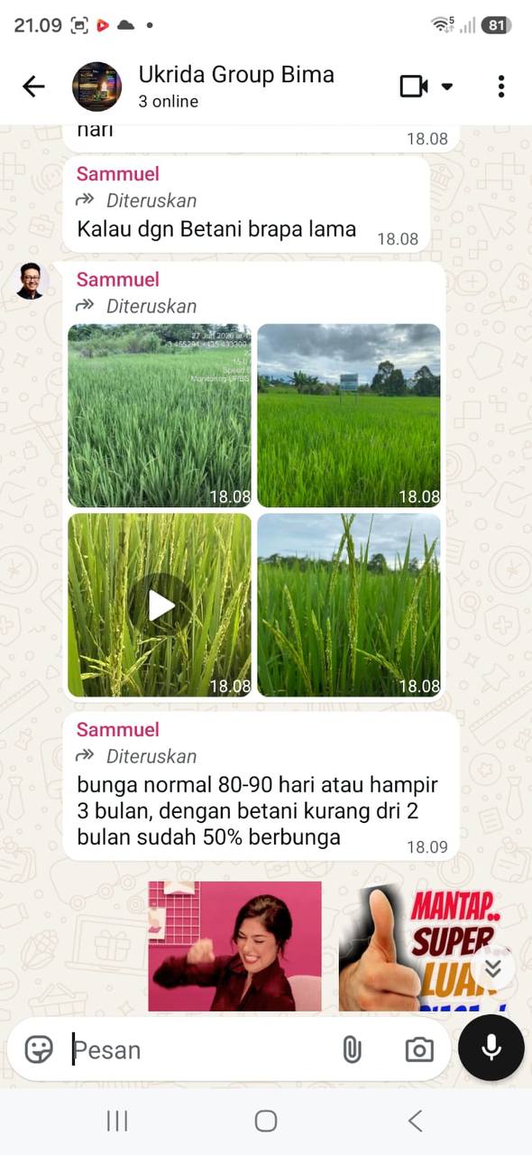 Hasil Panen Padi