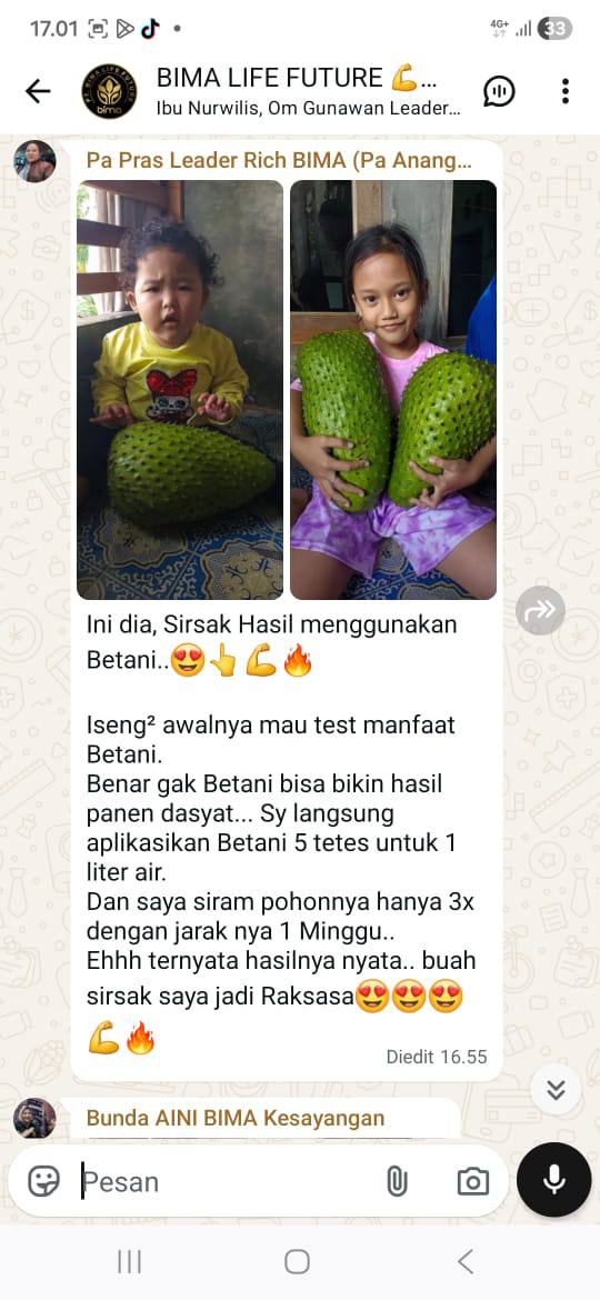 Sistem Perakaran Kuat