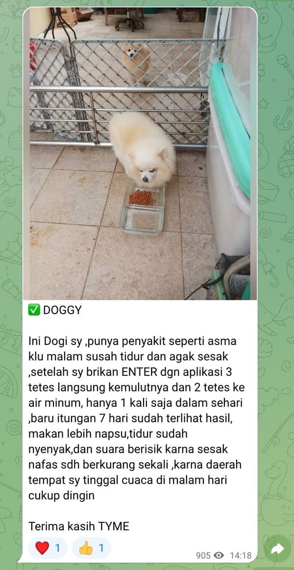 Tambak Udang