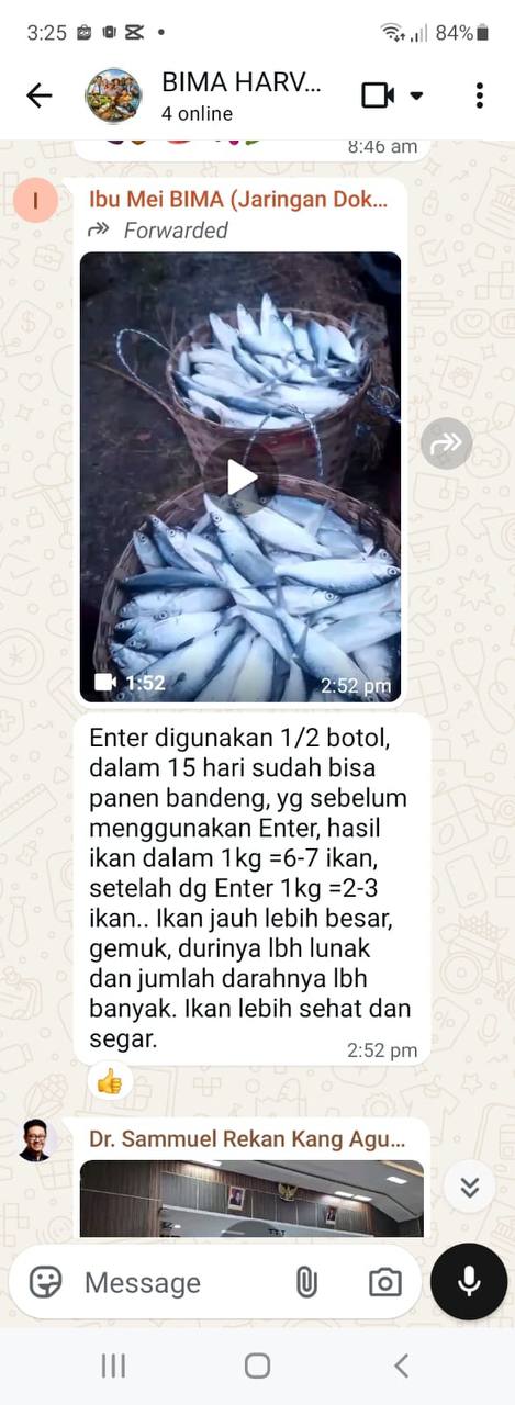 Ikan Nila