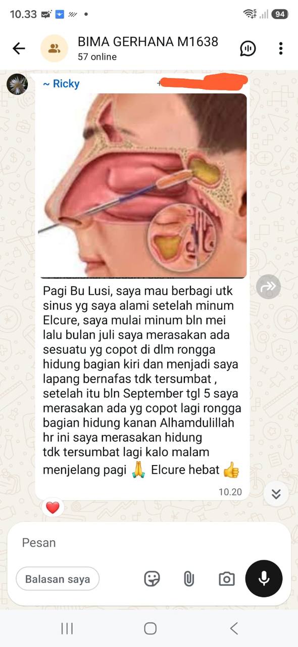 Testimoni WA 2