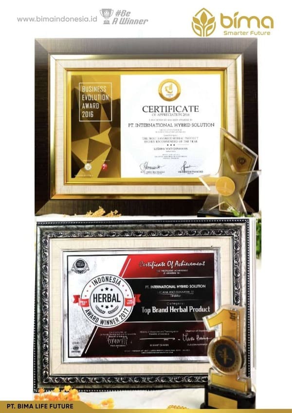 Piagam penghargaan PT International Hybrid Solution 11