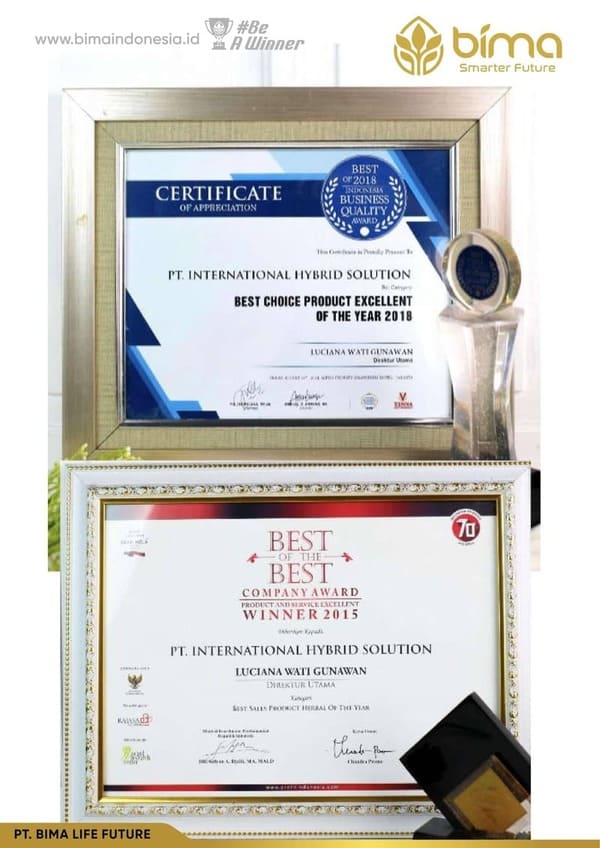 Piagam penghargaan PT International Hybrid Solution 13