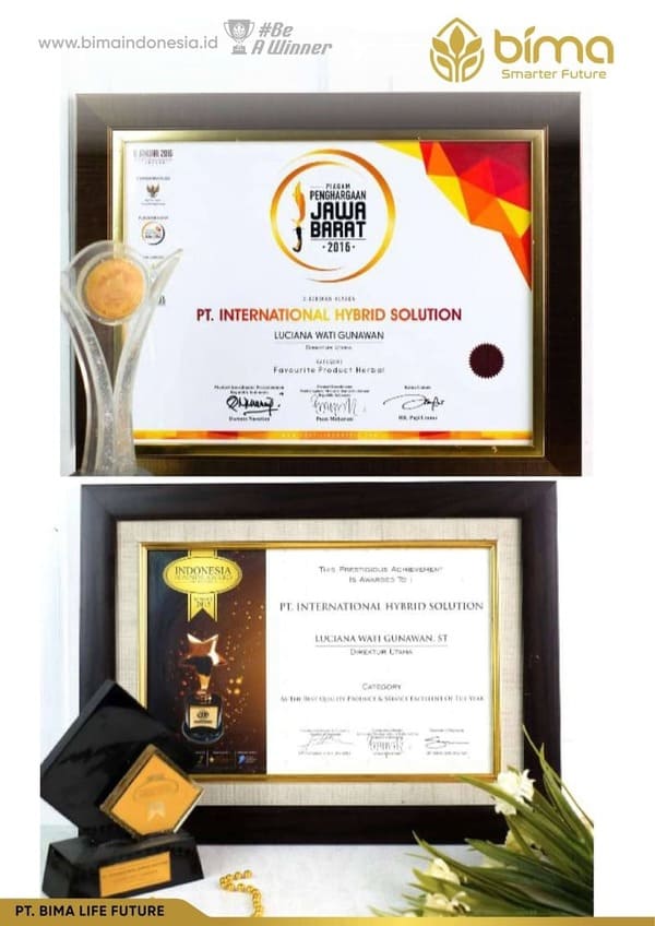 Piagam penghargaan PT International Hybrid Solution 15