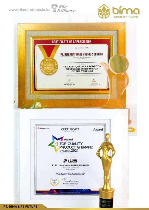 Piagam penghargaan PT International Hybrid Solution 16