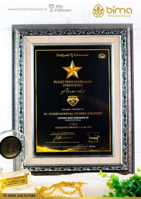 Piagam penghargaan PT International Hybrid Solution 2