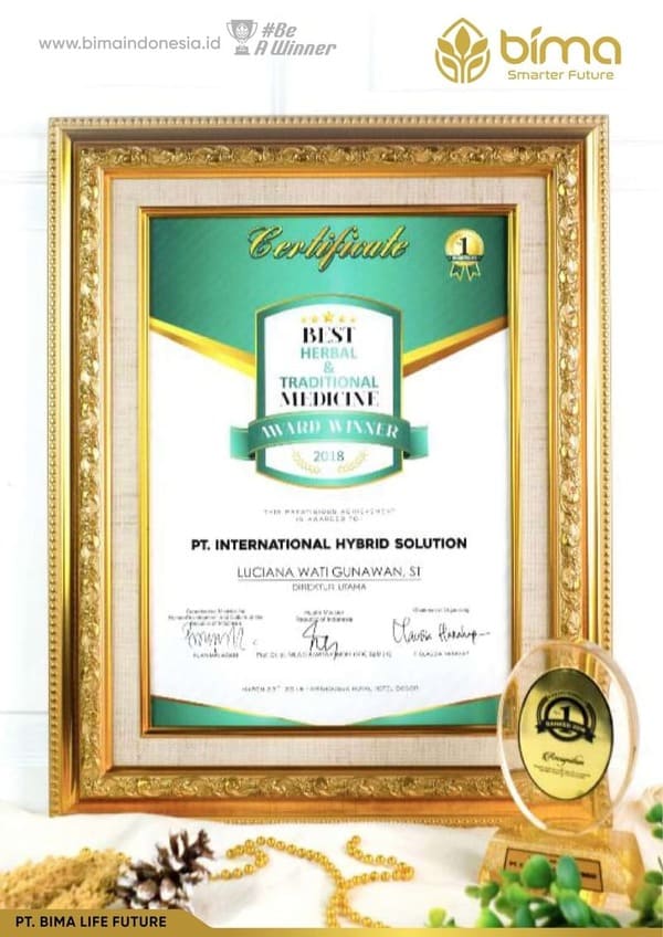 Piagam penghargaan PT International Hybrid Solution 3