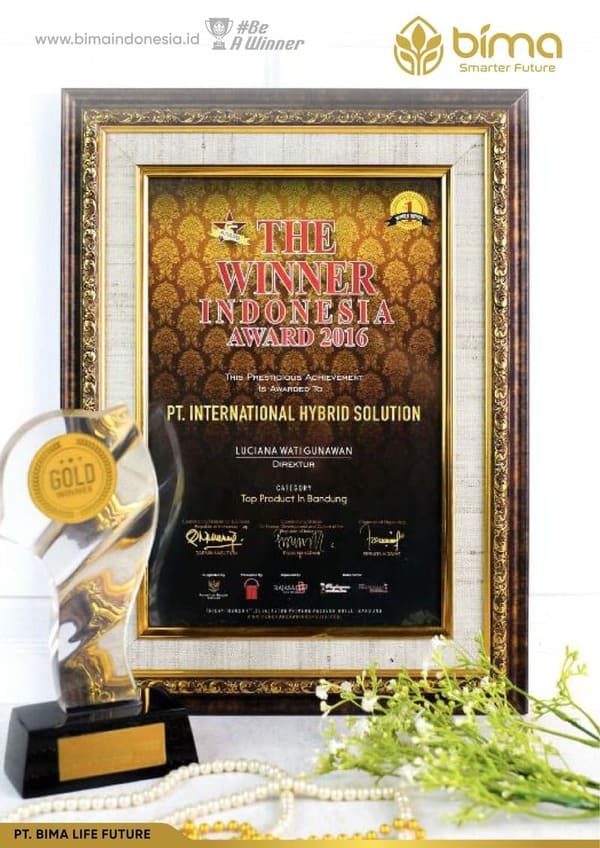 Piagam penghargaan PT International Hybrid Solution 8