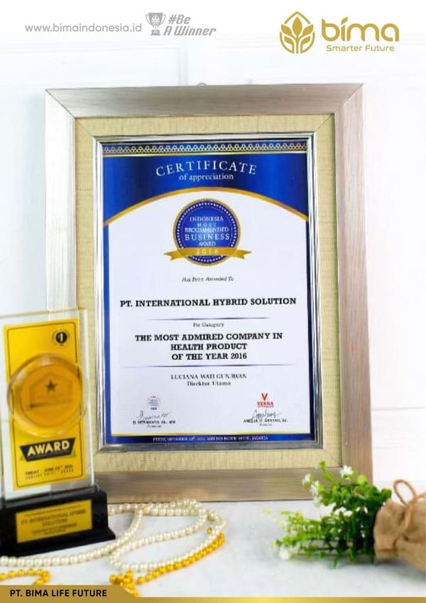 Piagam penghargaan PT International Hybrid Solution 9